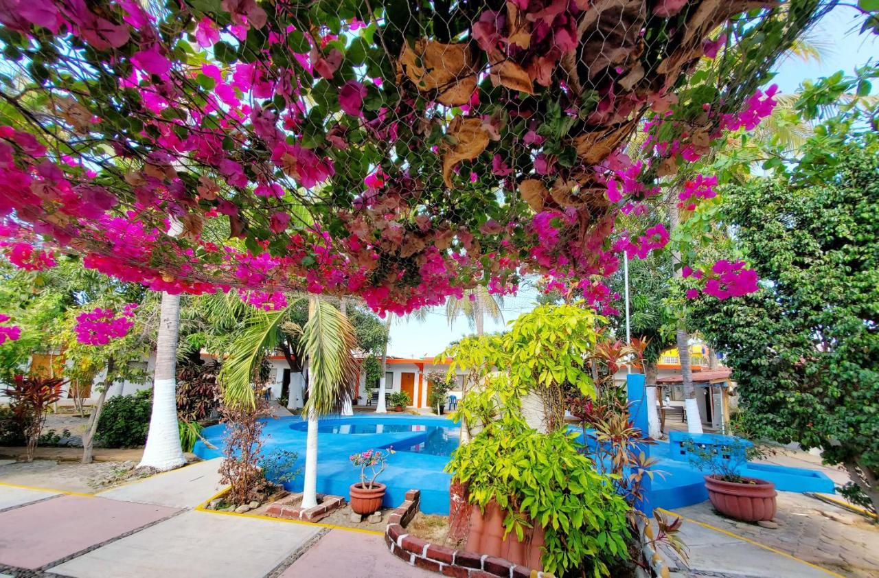 Hotel Oasis Melaque San Patricio Melaque Ngoại thất bức ảnh