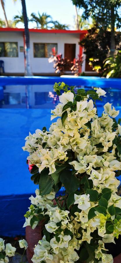 Hotel Oasis Melaque San Patricio Melaque Ngoại thất bức ảnh